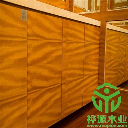 金影效果圖