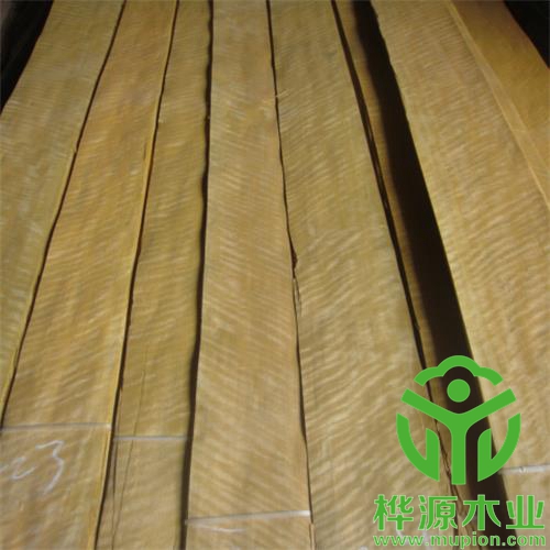 金影木皮0.5mm質(zhì)量保證，排骨金影木皮優(yōu)質(zhì)供應(yīng)