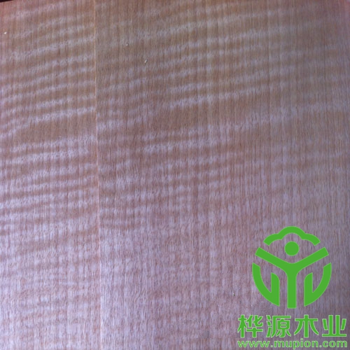 紅影木皮0.5mm品質(zhì)無(wú)憂(yōu)，安利格影木皮優(yōu)質(zhì)供應(yīng)