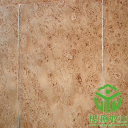 楓木樹(shù)榴木皮0.5mm價(jià)格實(shí)惠，楓木樹(shù)榴木皮質(zhì)量保證