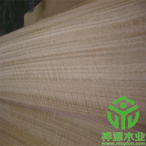 尤加利影木皮0.5mm品質(zhì)保證，排骨影尤加利裝修效果好