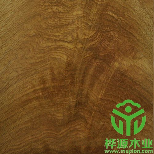 0.5mm金杈木皮品質(zhì)無(wú)憂(yōu)，高檔樹(shù)杈木皮價(jià)格優(yōu)惠