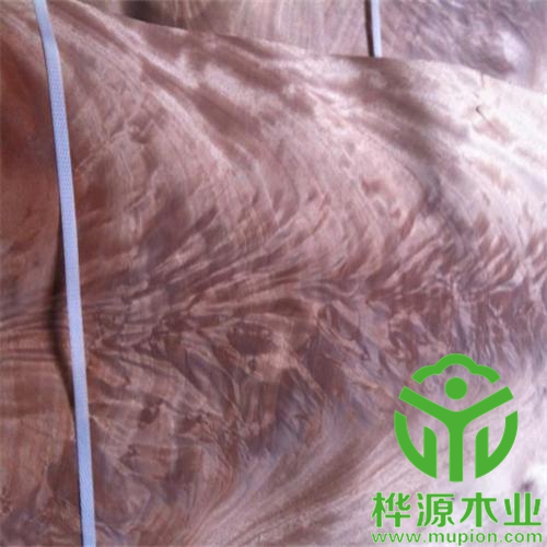 奧古曼樹(shù)杈木皮價(jià)格優(yōu)惠，0.5mm樹(shù)杈木皮品質(zhì)好